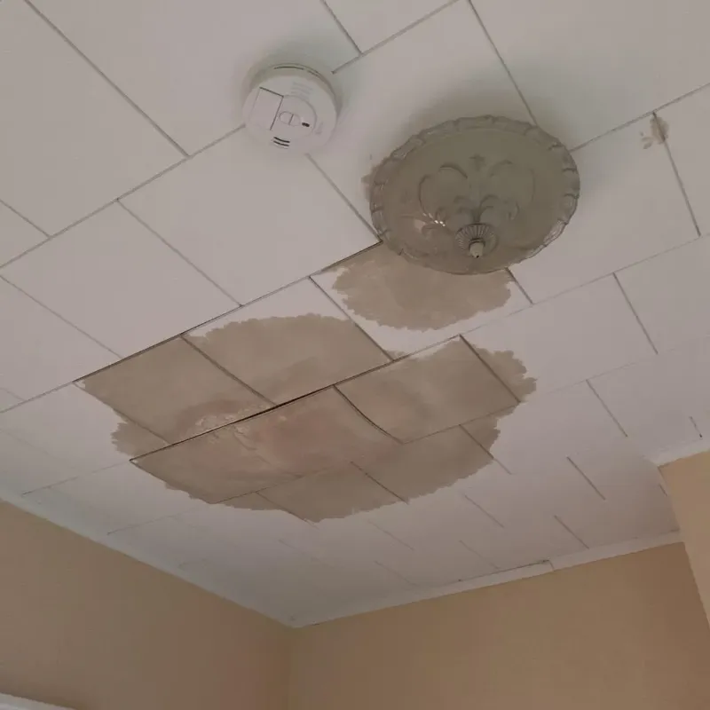 Ceiling Water Damage Repair in Bethany, WV