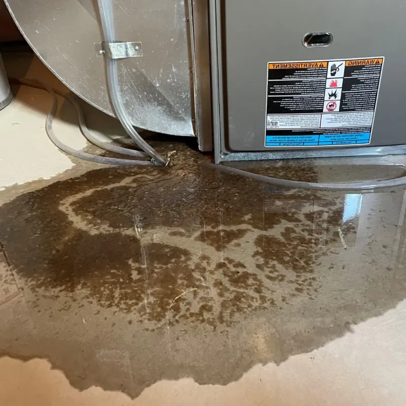 Pipe Burst and Leak Restoration in Bethany, WV