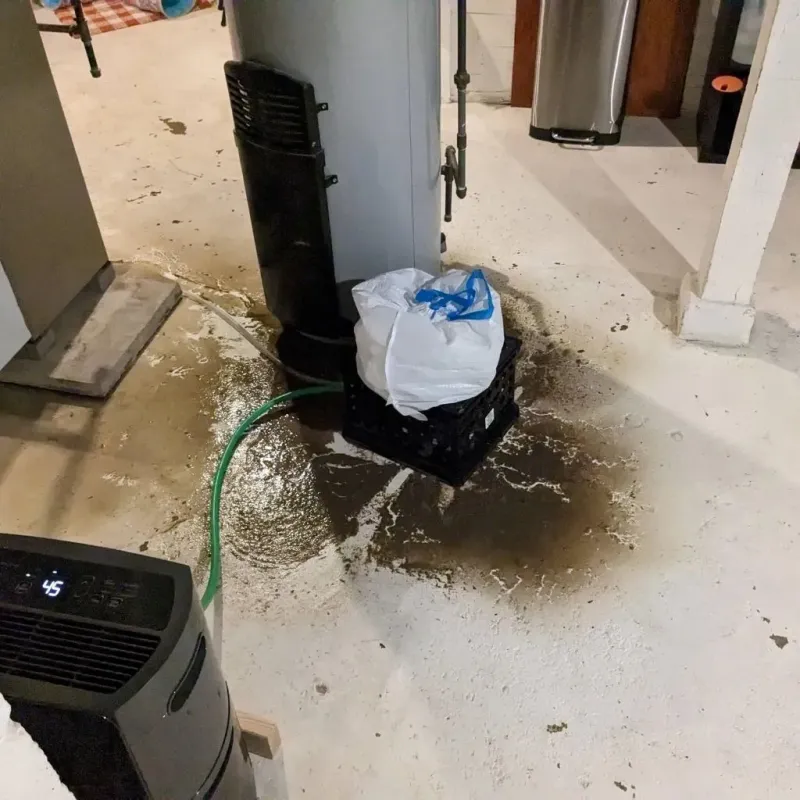 Sewage Backup Cleanup Service in Bethany, WV